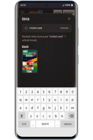 Barra di ricerca con gioco Cricket Road
